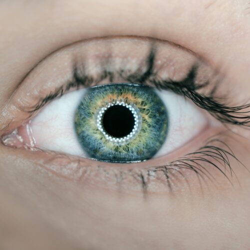 Modrošedé oči: v jakých barvách nejlépe vyniknou?