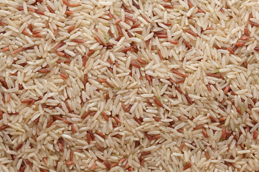 Zvolte správný druh rýže