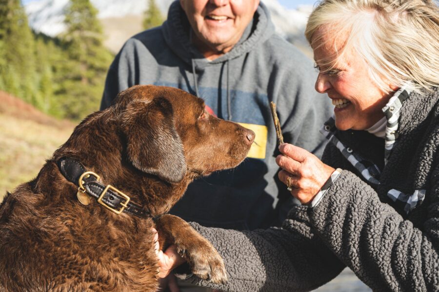 Pes pro důchodce: 7 plemen vhodných pro seniory