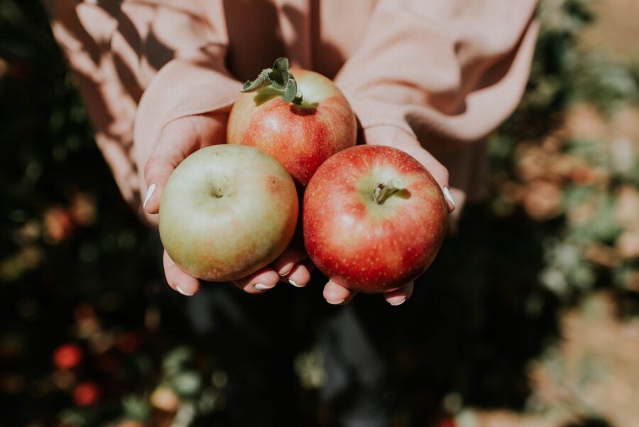 Nejlepší odrůdy jablek: TOP 8 odrůd, které vám zachutnají