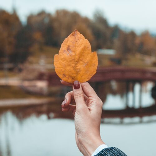 Gelové nehty: hnědé trendy odstíny, které vám budou lichotit