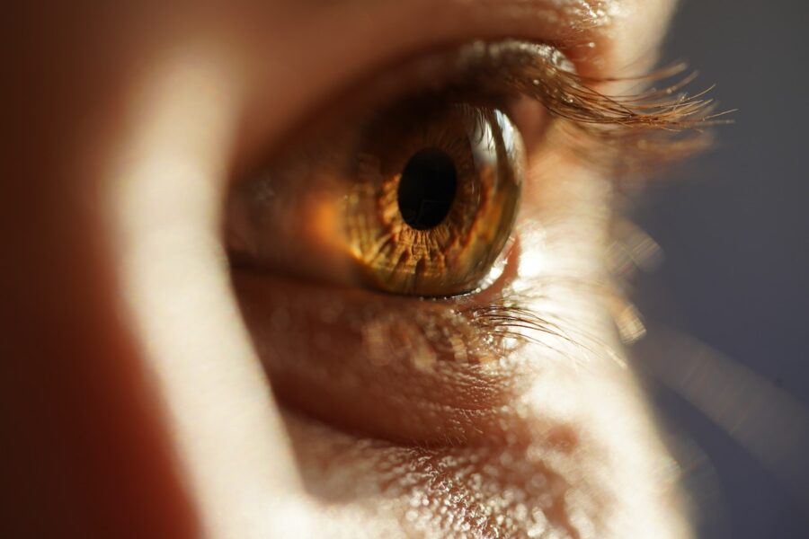 Význam hnědých očí: 4 výrazné znaky