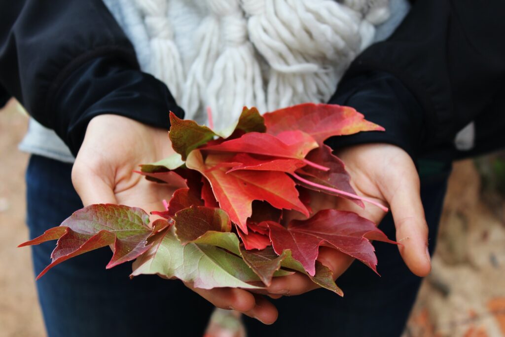 Z listí vyrobíte barevný a jednoduchý věnec