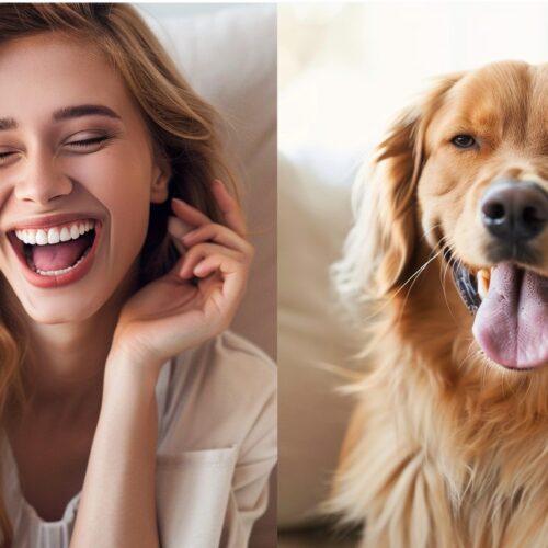 4 psí plemena, která přitahují dobrou náladu: máte jedno doma?