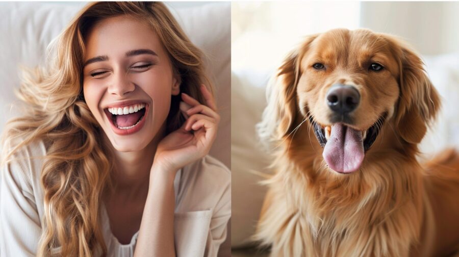 4 psí plemena, která přitahují dobrou náladu: máte jedno doma?